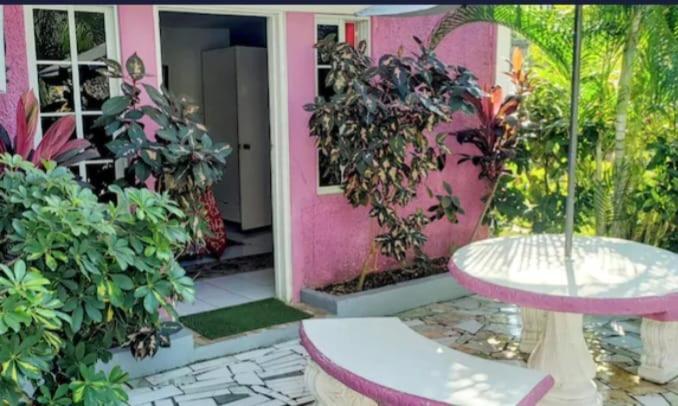 Pink Hibiscus Bed And Breakfast Montego Bay Esterno foto