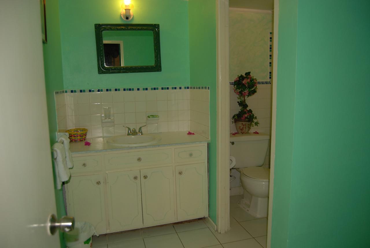 Pink Hibiscus Bed And Breakfast Montego Bay Esterno foto